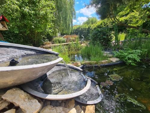 Le Souffle du Saule